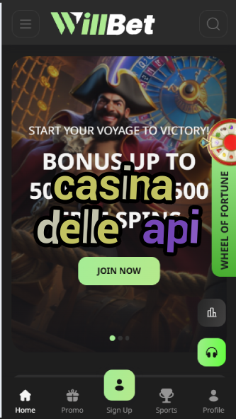 Casina Delle Api - Bee-Themed Italian Casino-casinoallright.casinoorder.vip